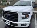 AlphaRex 15-17 Ford F150 PRO-Series Halogen Projector Headlights Black