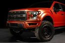 Morimoto 15-17 Ford F-150 XB Evo Hybrid LED Headlights
