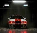 2005-2009 Ford Mustang GT Grill Fog Light Halo Kit