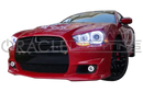 Front end of a Dodge Charger with white LED headlight and fog light halo rings installed.