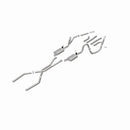 MagnaFlow Sys Cat-Back 68-72 GM A-Body Chevelle et