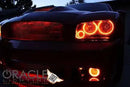 Front end of a Dodge Charger with amber LED headlight and fog light halo rings installed.