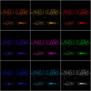 Jeep JL/JT StarLINER Fiber Optic Headliner | ORACLE ColorSHIFT