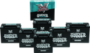 Twin Power YTX-14 Shocker Battery Replaces H-D 65948-00 220 CCA