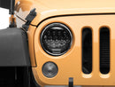 Photo - Close Up