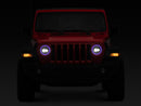 Photo - Close Up