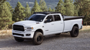 The Diablo (2019-2023 RAM Truck Roof Rack)
