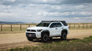 Sherpa 6th Gen 4Runner Window Panel