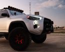 Aiden James Customs 2014+ 4Runner LED DRL Bezel/Fang Light Kit