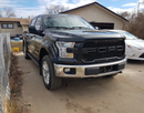 Ford Raptor Style Front Grille & Raptor Style LED Lights | 2015-2017 Ford F150