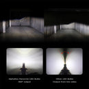 AlphaRex Gold Ammo Panoramic LED light bulbs