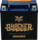 Twin Power YTX-14L Shocker Gel Battery Replaces H-D 65958-04 220 CCA