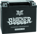 Twin Power YTX-20HL Shocker Battery Replaces H-D 65989-97A 310 CCA