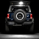 Rear view of bronco with cargo light illumination