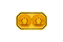 C2 2.0 Lens Combo/Driving Yellow