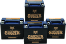 Twin Power YTX-14L Shocker Gel Battery Replaces H-D 65958-04 220 CCA