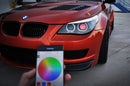 Diode Dynamics Pro-Series Multicolor Demon Eyes (set)