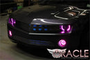 Front end of a Chevrolet Camaro with pink LED headlight and fog light halo rings installed.