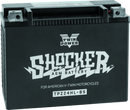 Twin Power YTX-24HL Shocker Battery Replaces H-D 66010-82A 410 CCA