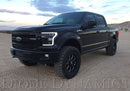 Diode Dynamics 2015-2017 Ford F-150 Switchback LED Boards