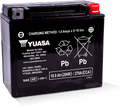 Yuasa YTX20L Maintenance Free AGM 12-Volt Battery