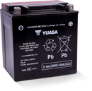 Yuasa YIX30L-BS-PW High Performance Maintenance Free AGM 12-Volt Battery w/Bottle
