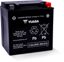 Yuasa YIX30L Maintenance Free AGM 12-Volt Battery