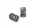 Supertech Honda K20/K24/F20C1/F22C1 Dual Valve Spring - Set of 16