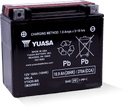 Yuasa YTX20-BS Maintenance Free AGM 12-Volt Battery w/Bottle