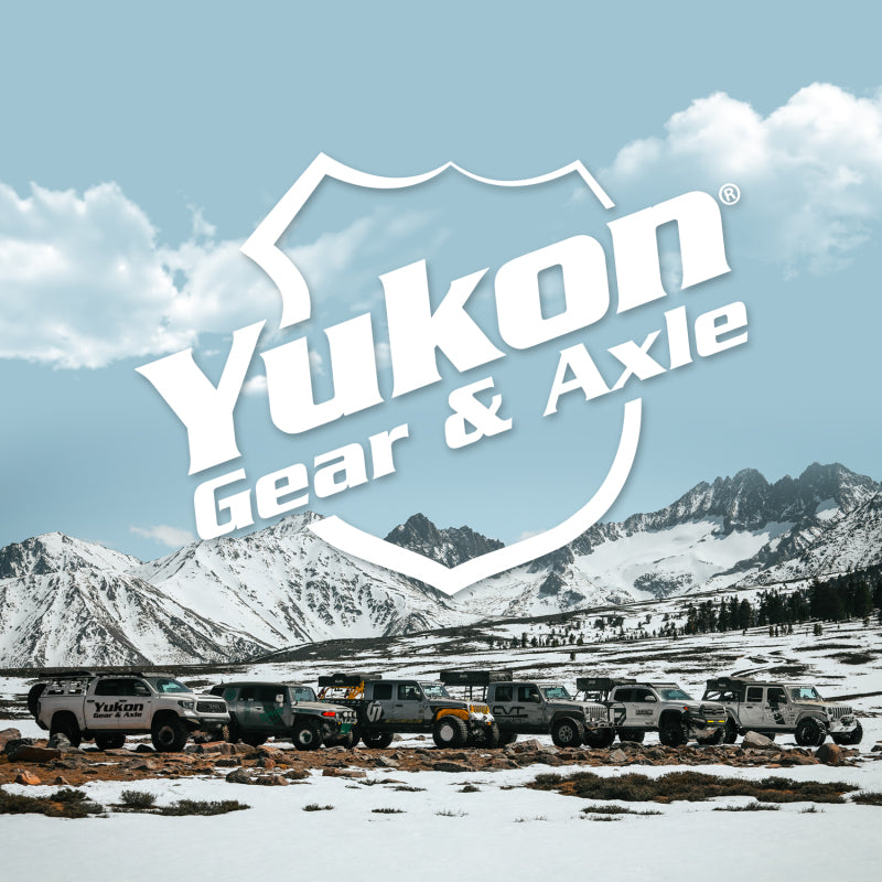 Yukon Gear Master Overhaul Kit For GM 9.25in IFS Diff / 10 & Down